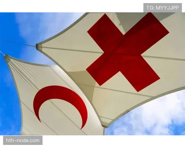 瑞士球迷以红十字精神持续展现团结与支持，引发广泛关注