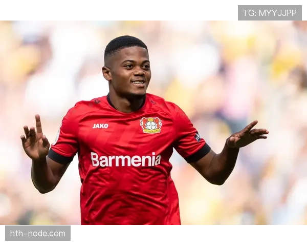 勒沃库森最新转会动态：引援与离队情况